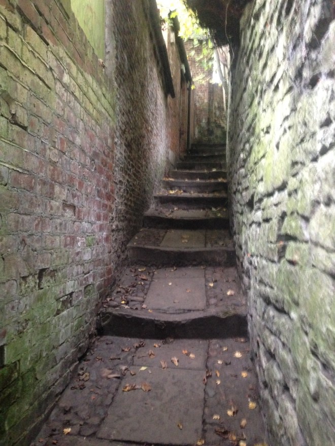 This is what was up one of those alleyways.